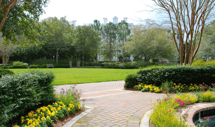 Commercial Lawn Care